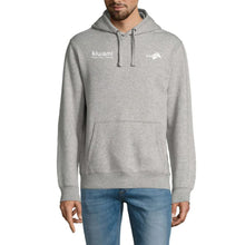 Load image into Gallery viewer, HOODIE GREY KRT 2024
